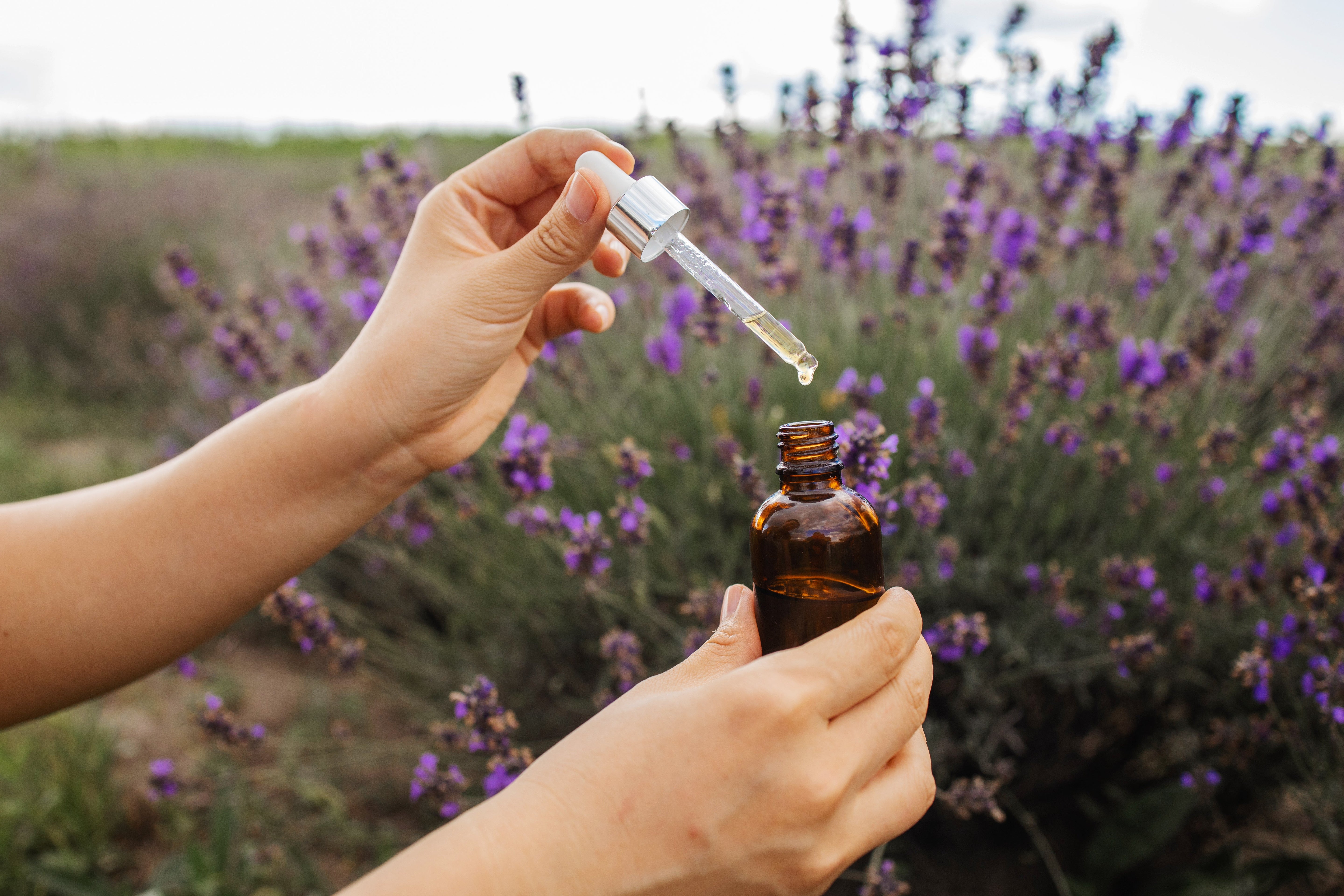 Top 5 Lavender Essential Oil Uses for a Balanced Lifestyle