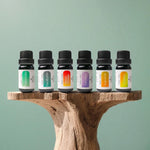 Six-bottle Luca + Grey Aromatherapy Starter Pack – Peppermint, Eucalyptus, Sweet Orange, Lavender, Grapefruit, Lemon essential oils (10 mL each)