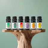 Six-bottle Luca + Grey Aromatherapy Starter Pack – Peppermint, Eucalyptus, Sweet Orange, Lavender, Grapefruit, Lemon essential oils (10 mL each)