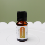 Cinnamon Bark Essential Oil