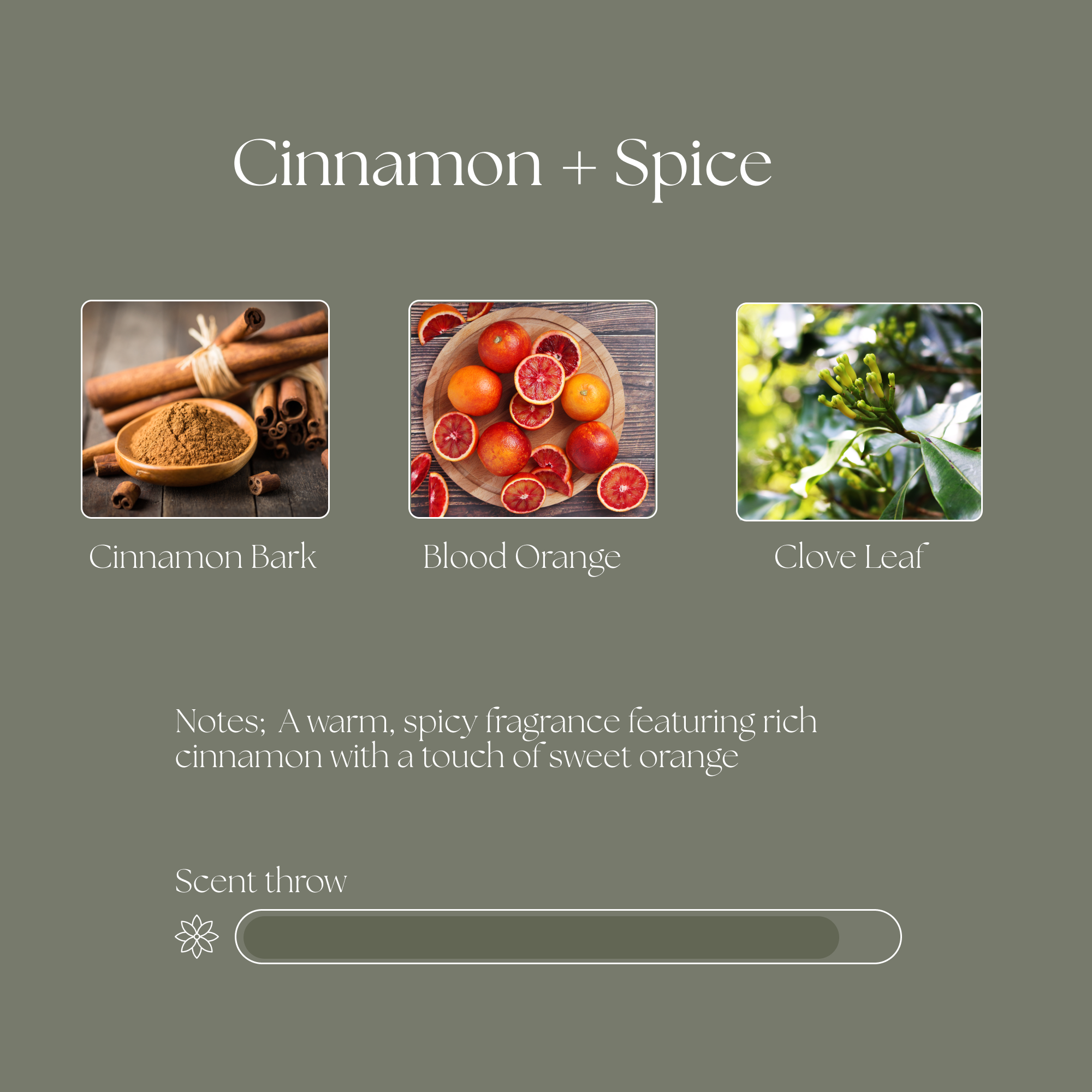 Cinnamon Spice Beeswax Candle – Luca and Grey - Main Image