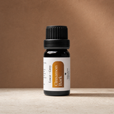 Clean product photo hero - Cinnamon Bark Essential Oil - Luca + Grey