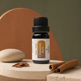 Luca + Grey PDP essential oil image: Cinnamon Bark Essential Oil - scent story (2026-05-22)