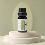 Luca + Grey PDP essential oil image: Clove Leaf Essential Oil - main product (2026-05-22)