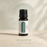 Eucalyptus benefit graphic - Clear + Refresh - Aromatherapy Starter Pack