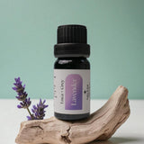 Aromatherapy Starter Pack – 6 Pure Essential Oils