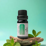 Aromatherapy Starter Pack – 6 Pure Essential Oils