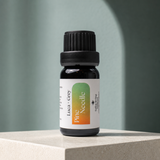 Luca + Grey PDP essential oil image: Pine Needle Essential Oil - main product (2026-05-22)